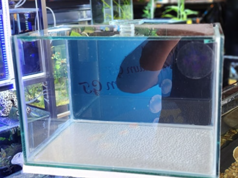 Acuario cristal pequeño Guatemala