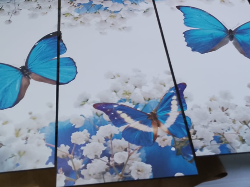 Cuadro Mariposas Guatemala