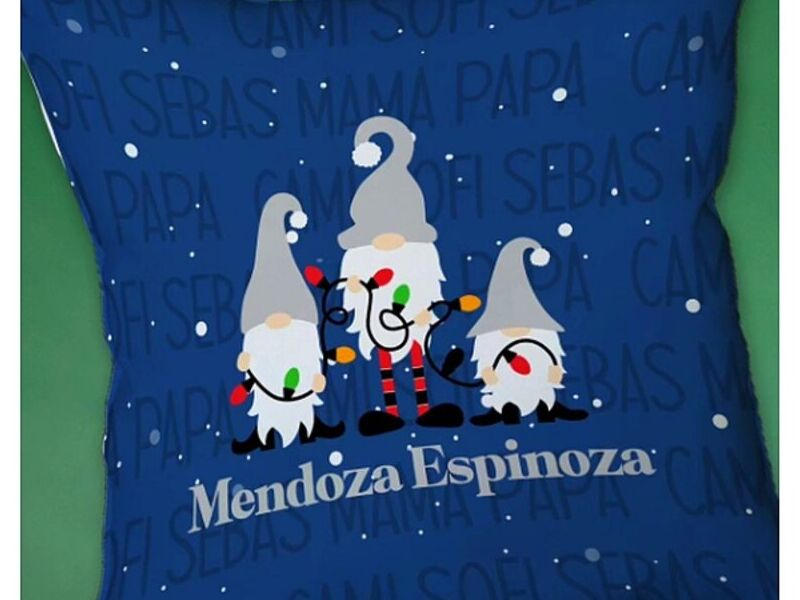 Cojines azules Guatemala