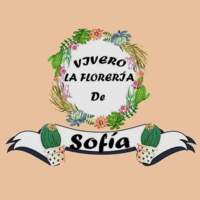 Vivero La Floreria De Sofía