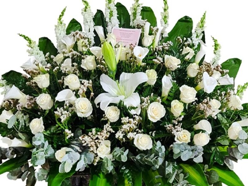 Flores Guatemala