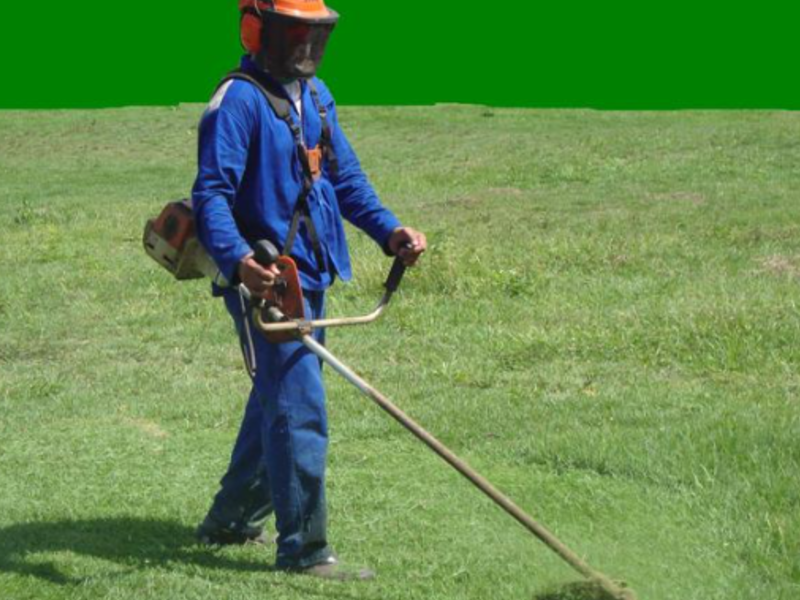 Recorte Grama Guatemala