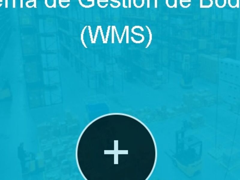 Gestion Bodegas Guatemala