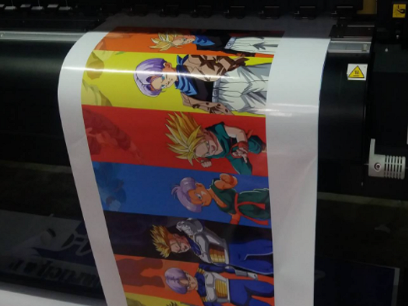 Cuadro impreso Trunks