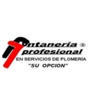 Fontaneria profesional