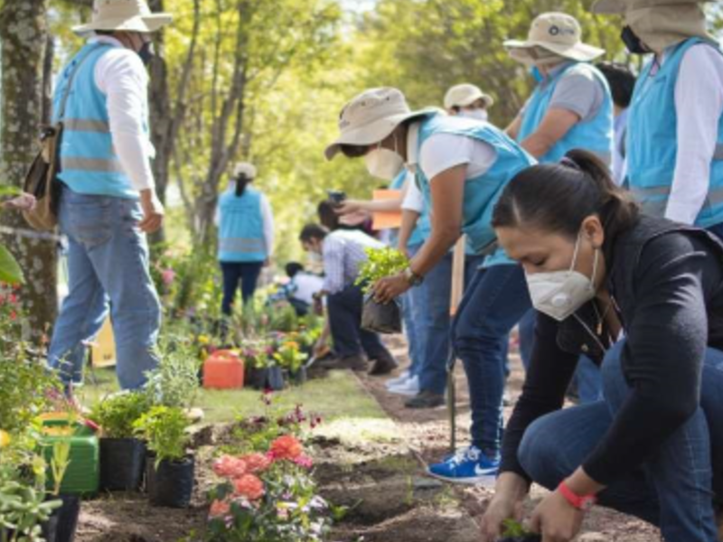  Restauración Ambiental Guatemala