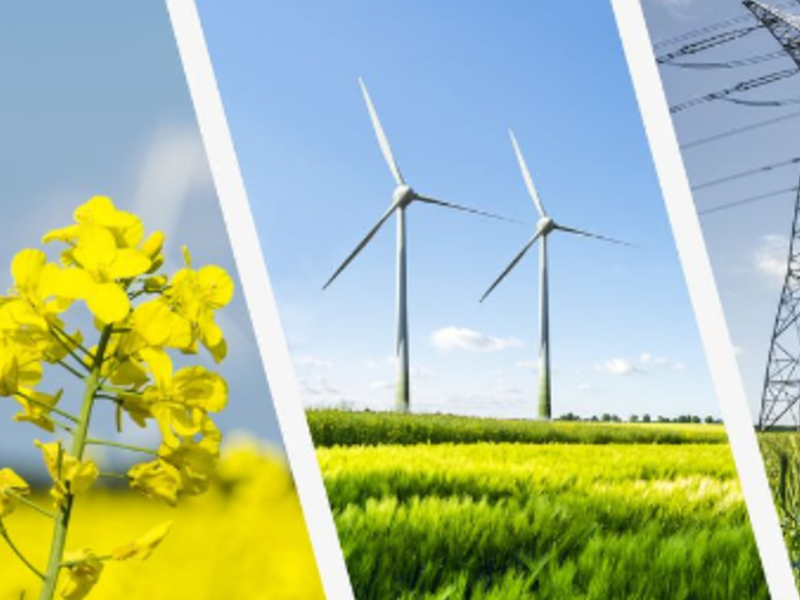 Energías Renovables Guatemala