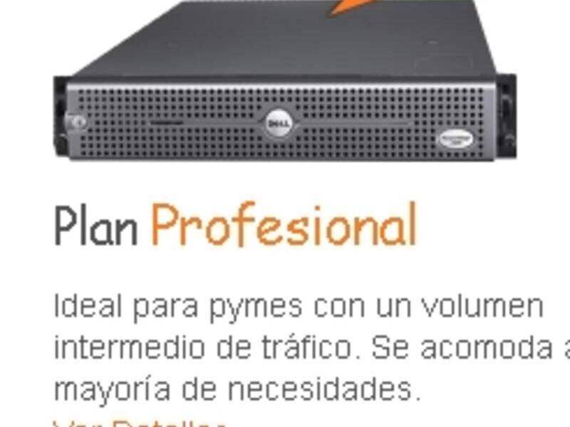 Hosting Plan Profesional Guatemala