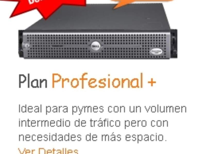 Hosting Plan Profesional PLUS GT