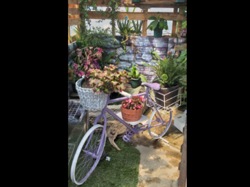 Decoración bici