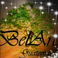 BelArt