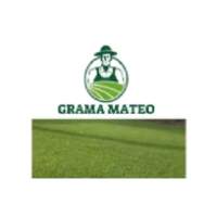 Grama Mateo