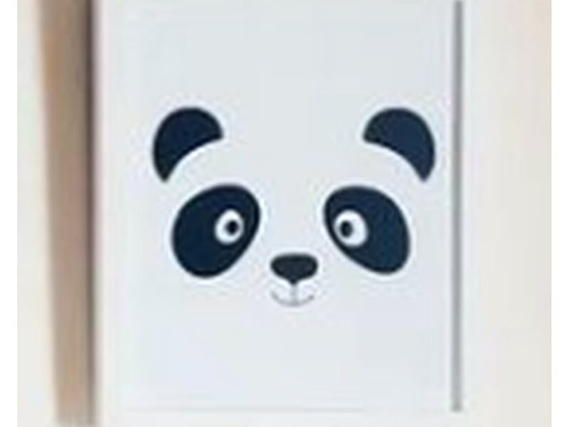 Cuadro oso panda Guatemala