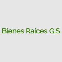 Bienes Raíces G.S