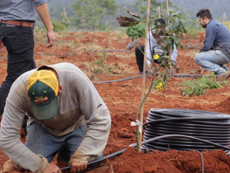 Instalación Sistemas Riego Guatemala