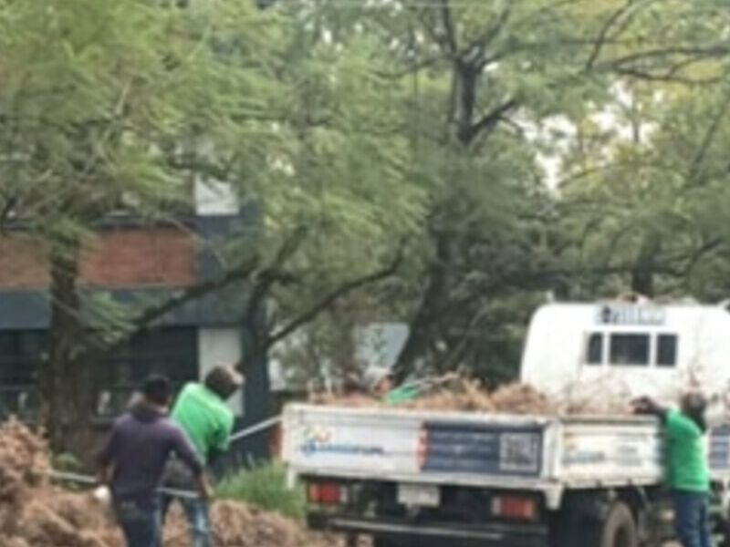 Servicio profesional jardinería Guatemala