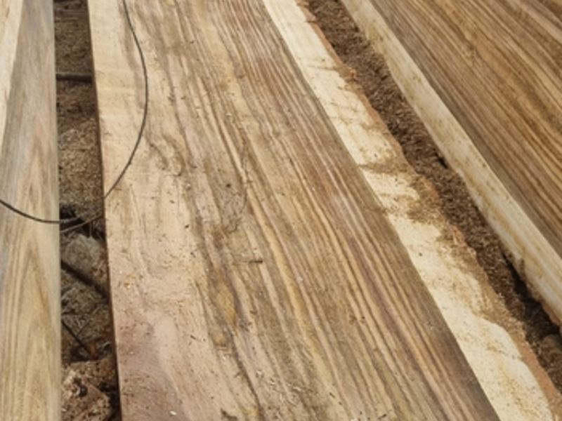 Troncos de madera