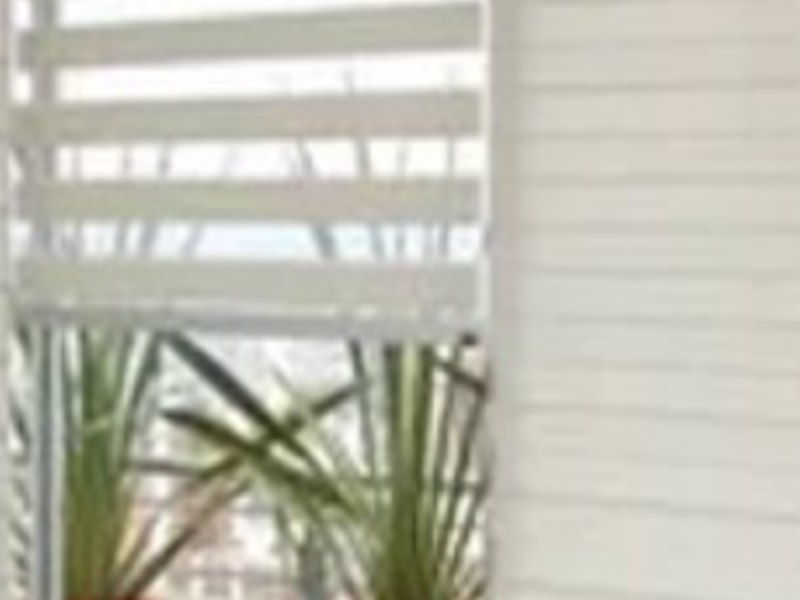 ZEBRA BLINDS GUATEMALA