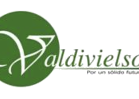 Valdivielso
