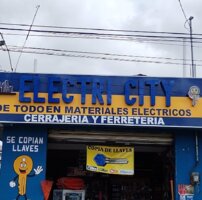 Electri-city