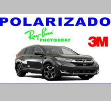 Polarizado Automotriz ventura