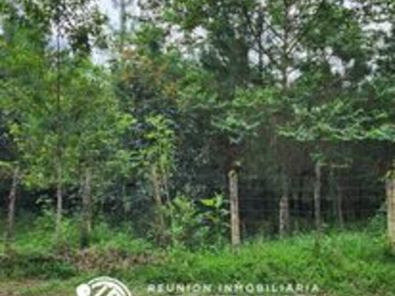 Venta de terrenos Alta Verapaz Cobán 