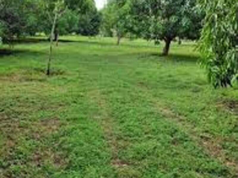 Terrenos en venta en Ciudad de Guatemala 