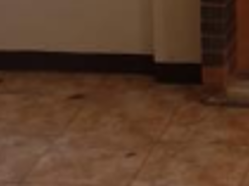 Ceramica para pisos Guatemala 