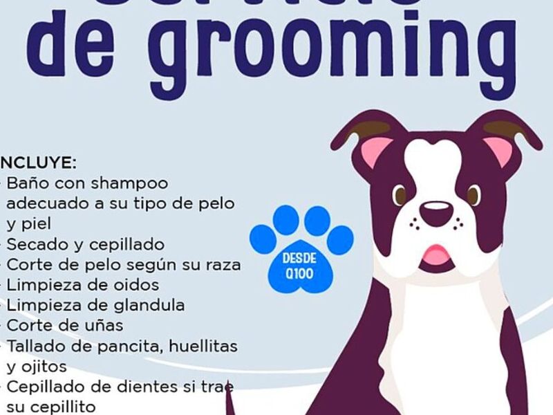 Servicio Grooming Fraijanes