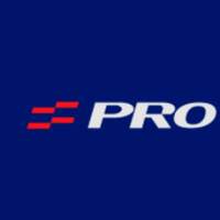 PRO Profesionales en Proyectos