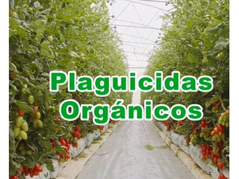 Plaguicidas ECOAMIGABLES Guatemala 