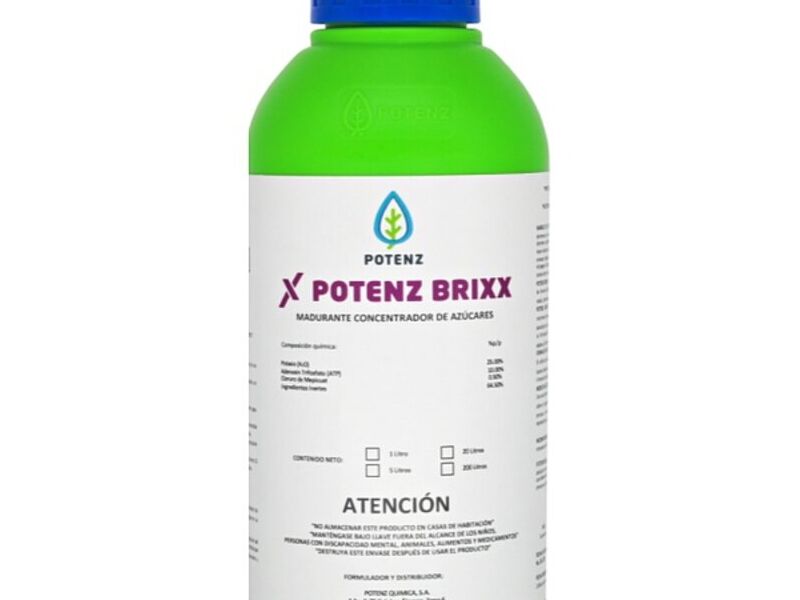 POTENZ BRIXX GUATEMALA 