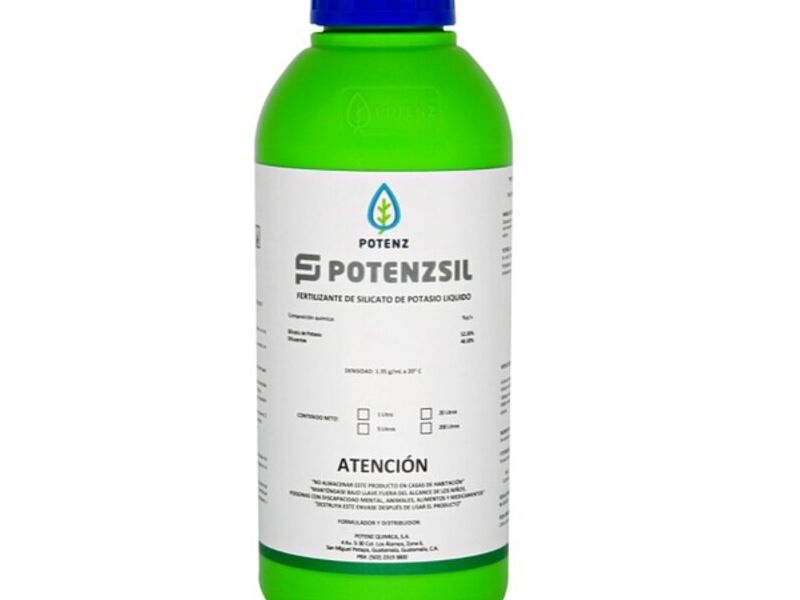 POTENZSIL GUATEMALA 