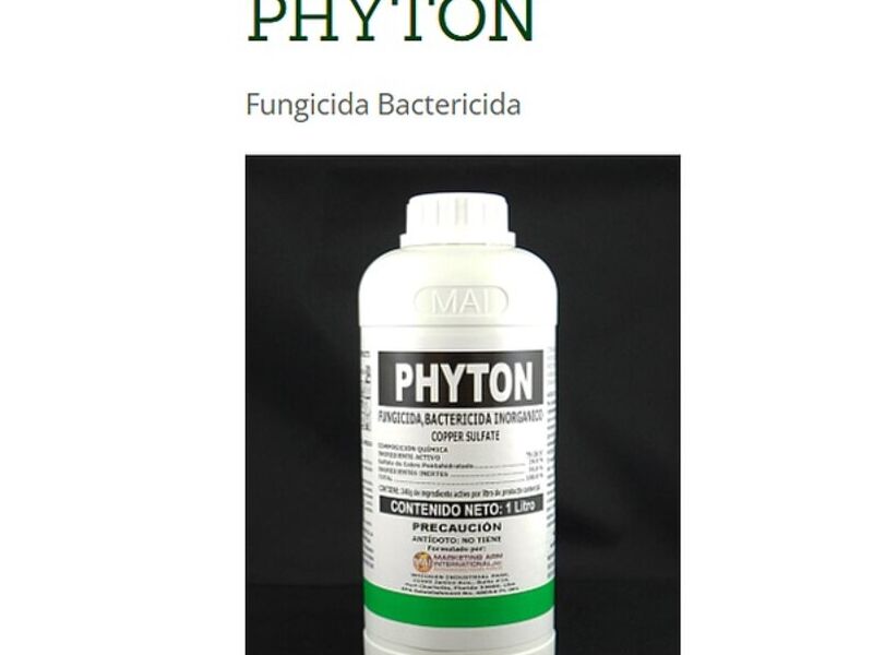 PHYTON GUATEMALA 