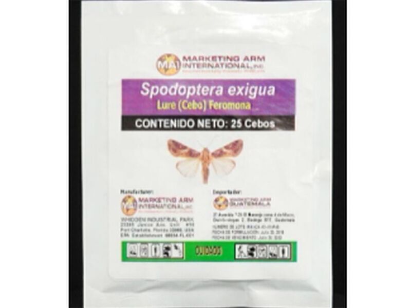  Señuelos insectos Guatemala 