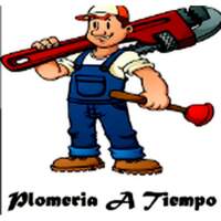 PLOMERIA A TIEMPO