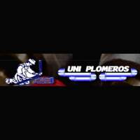 UNIPLOMEROS