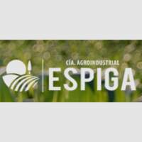 Espiga SA
