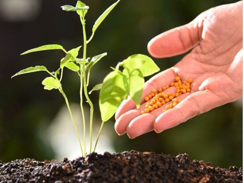 Fertilizantes Guatemala