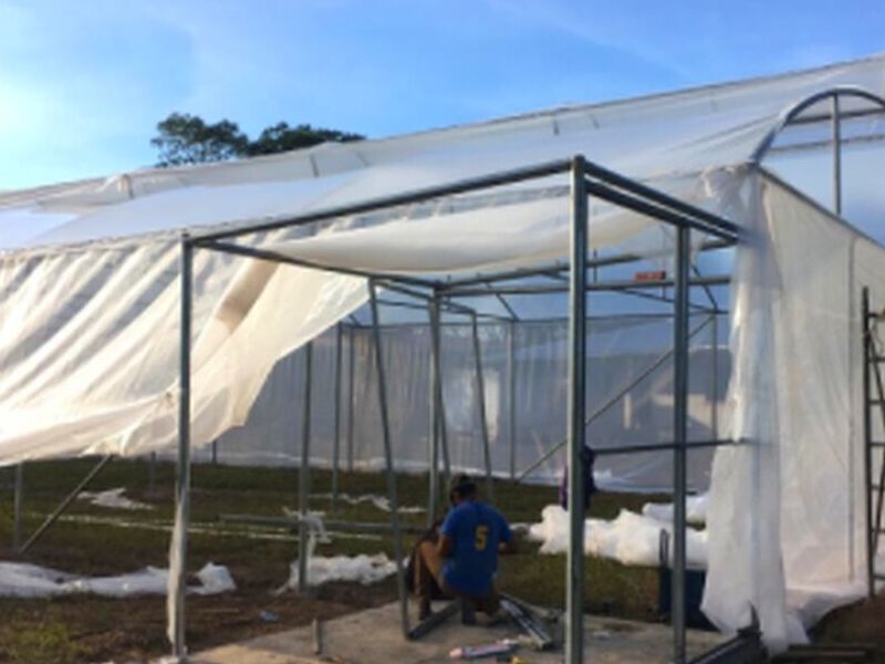 Arcos Galvanizados Macrotunel Guatemala 