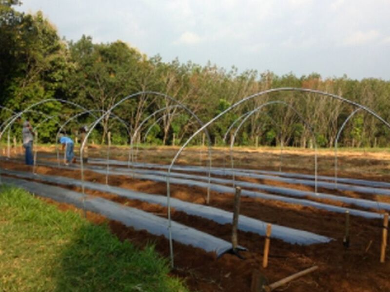 Arcos Galvanizados Megatunel Guatemala 
