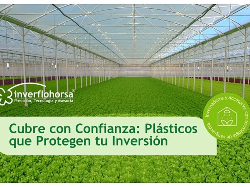 Invernaderos Jocotenango