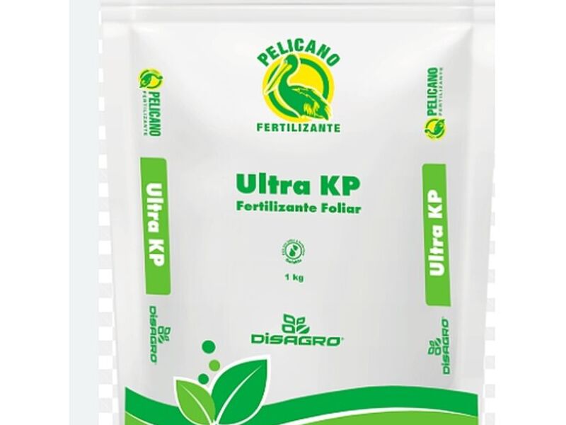 Disagro Guatemala 