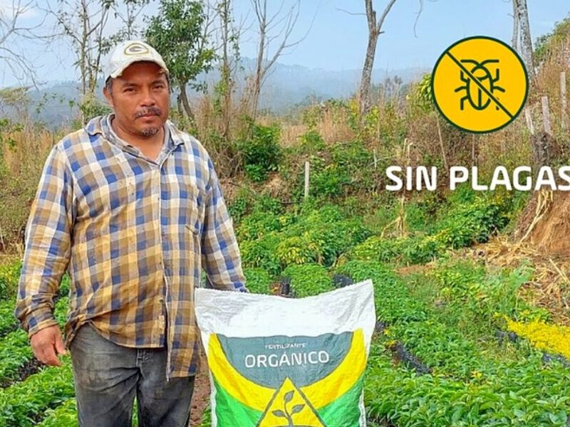 Fertilizantes Orgánicos San José del Golfo