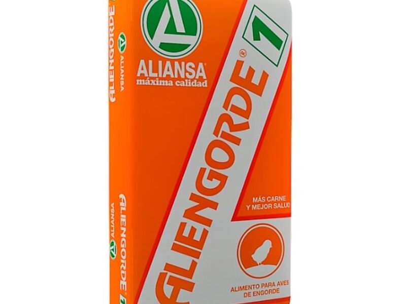ALIENGORDE HARINA GUATEMALA 