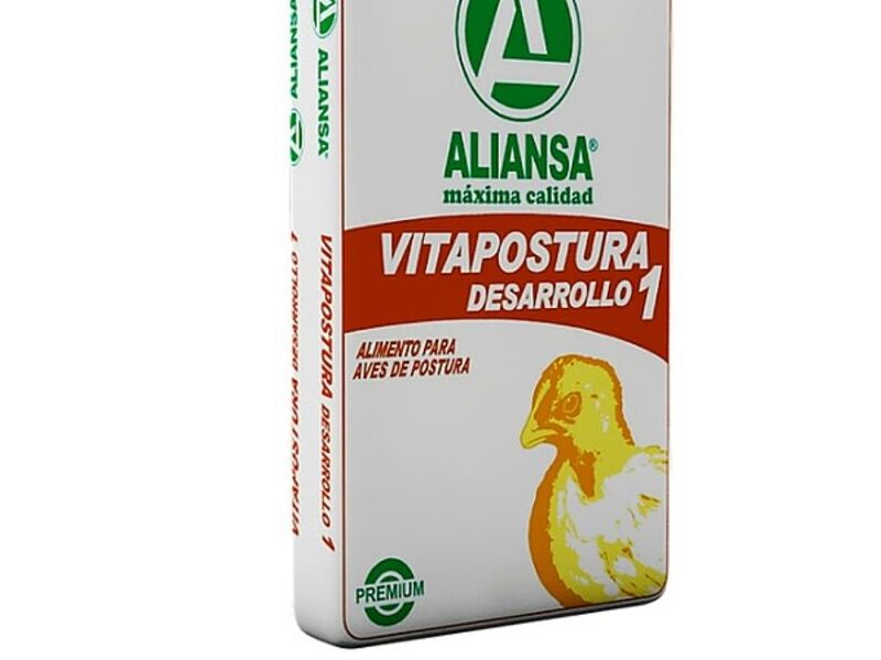 VITAPOSTURA DESARROLLO HARINA GUATEMALA 