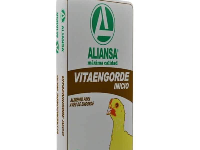 VITAENGORDE INICIO GUATEMALA 