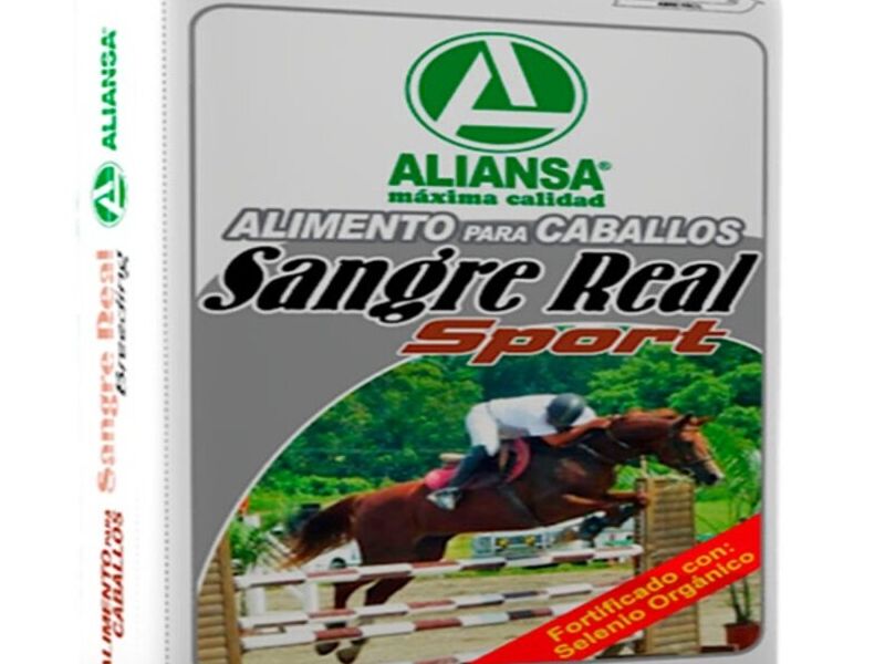 SANGRE REAL SPORT GUATEMALA 
