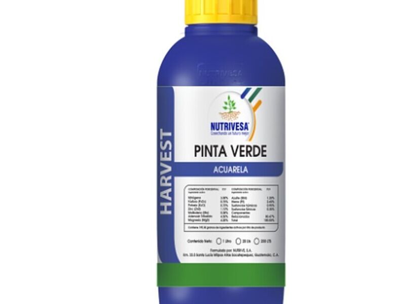 Pinta Verde Guatemala 