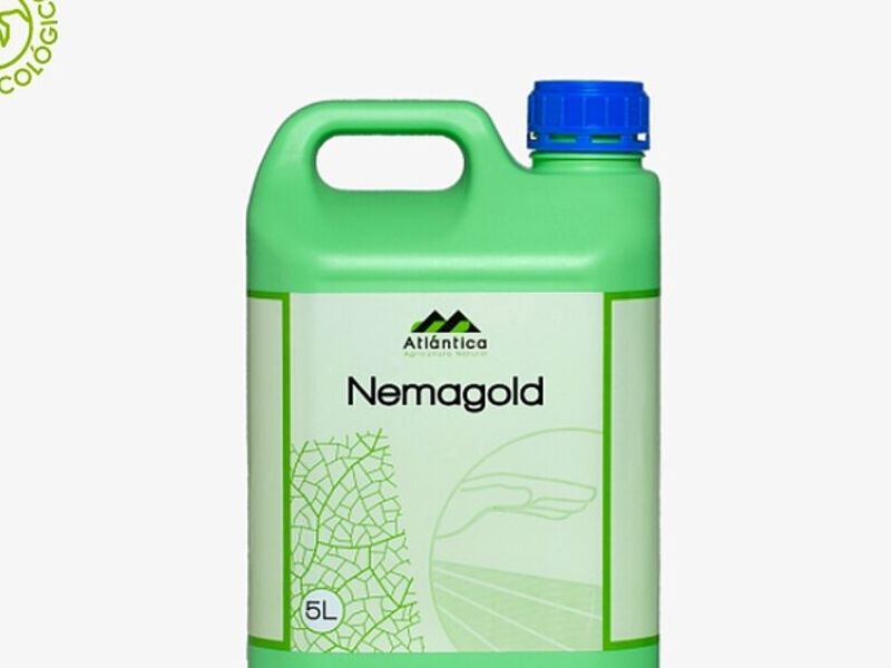 Nemagold Guatemala 